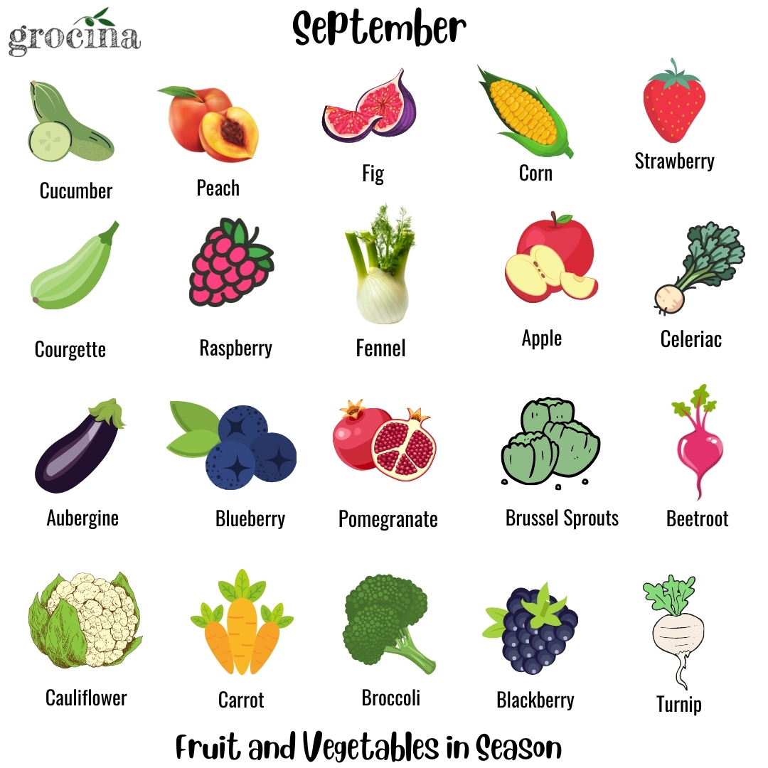 What's In Season: September - Grocina Blog